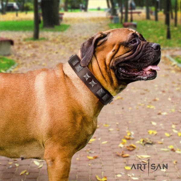 Bullmastiff exceptional full grain genuine leather collar with adornments for your pet