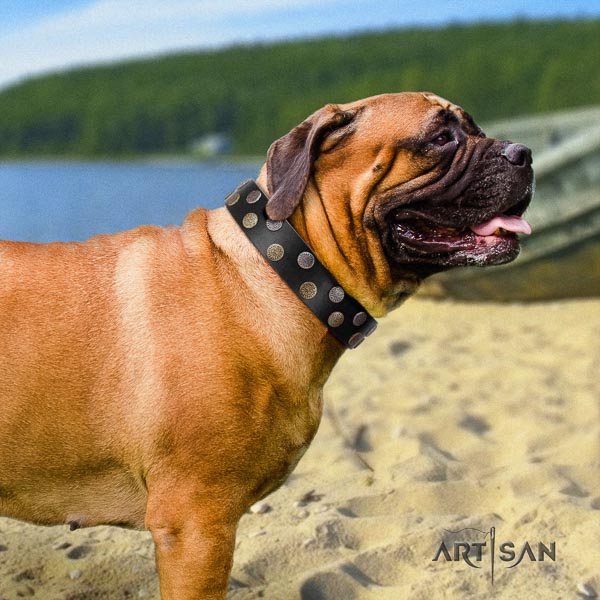 Bullmastiff handmade leather collar with embellishments for your pet