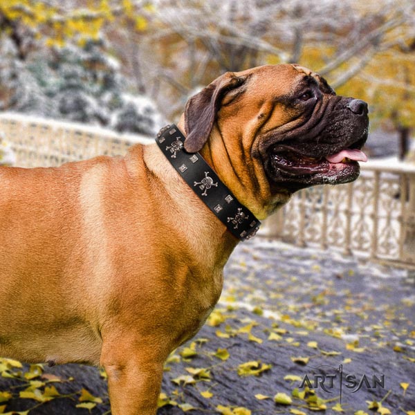 Bullmastiff fine quality full grain natural leather collar with decorations for your doggie