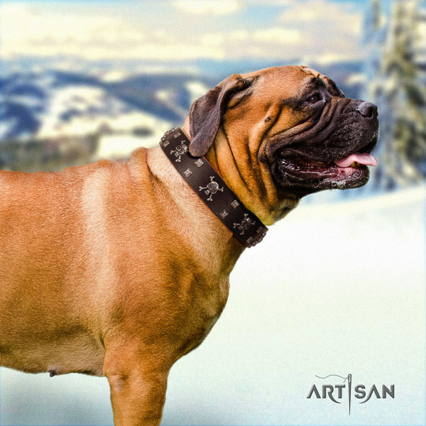 Bullmastiff easy to adjust leather collar with embellishments for your four-legged friend