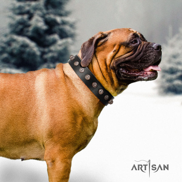 Bullmastiff awesome full grain natural leather collar with decorations for your doggie