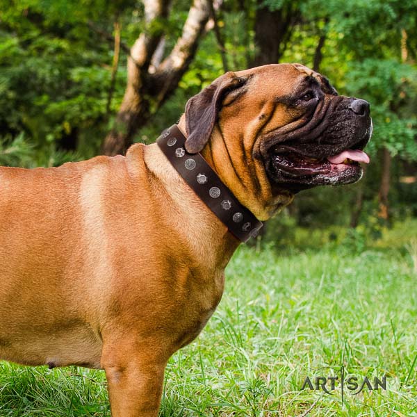 Bullmastiff easy wearing full grain leather collar with decorations for your pet