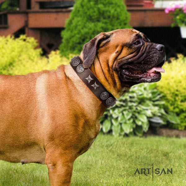 Bullmastiff stunning natural genuine leather collar with decorations for your doggie