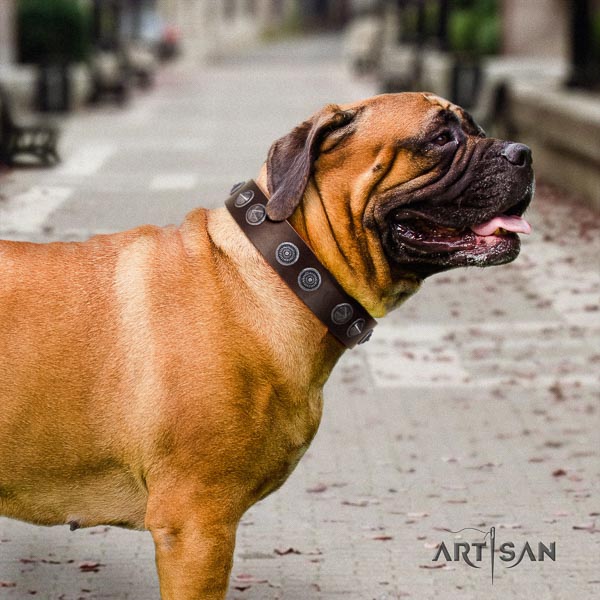 Bullmastiff adjustable full grain leather collar with adornments for your dog