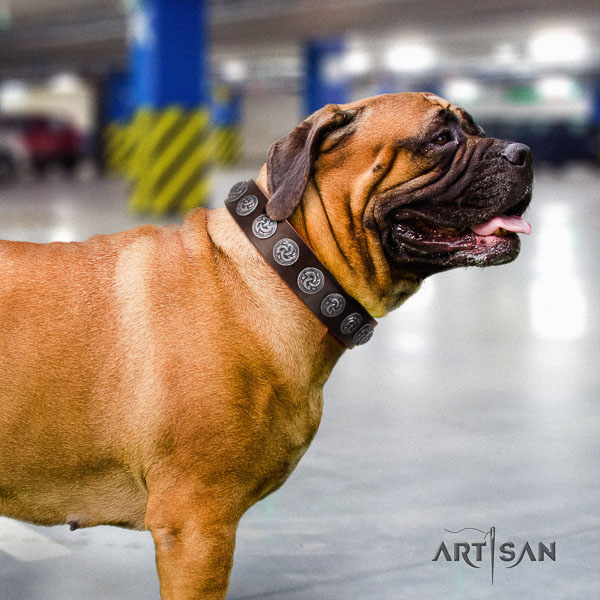 Bullmastiff fine quality full grain natural leather collar with decorations for your four-legged friend