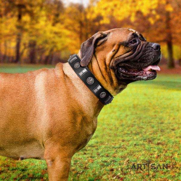 Bullmastiff stylish full grain leather collar with decorations for your canine