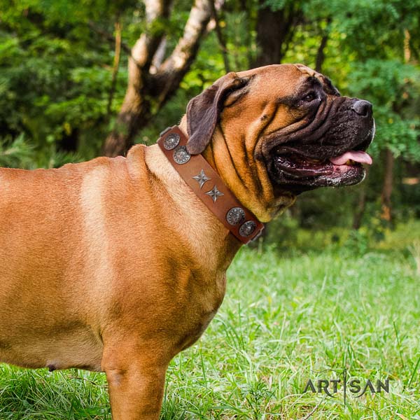 Bullmastiff easy to adjust natural genuine leather collar with adornments for your pet