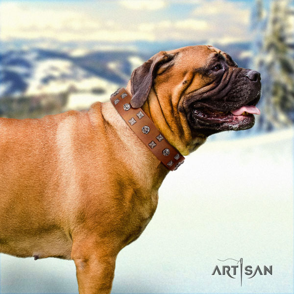 Bullmastiff handcrafted full grain natural leather collar with adornments for your four-legged friend