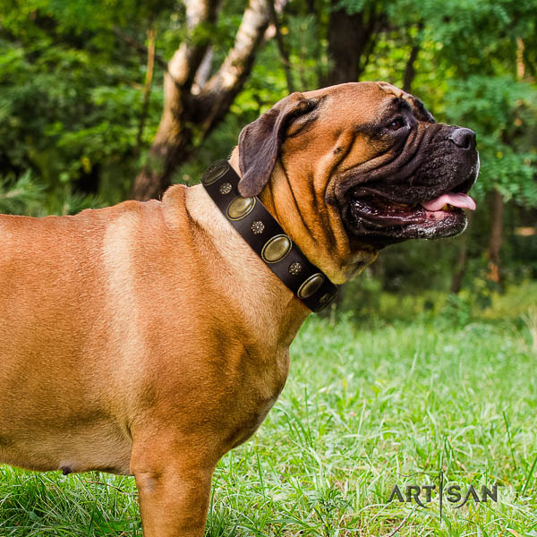 Bullmastiff stylish walking full grain natural leather collar with studs for your pet