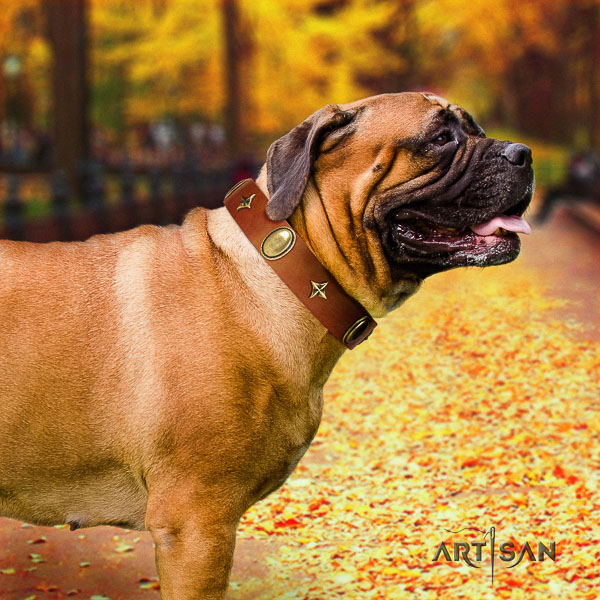 Bullmastiff daily walking full grain genuine leather collar with adornments for your dog