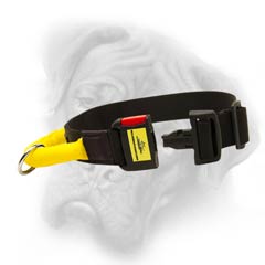 Bullmastiff collar with quick release buckle