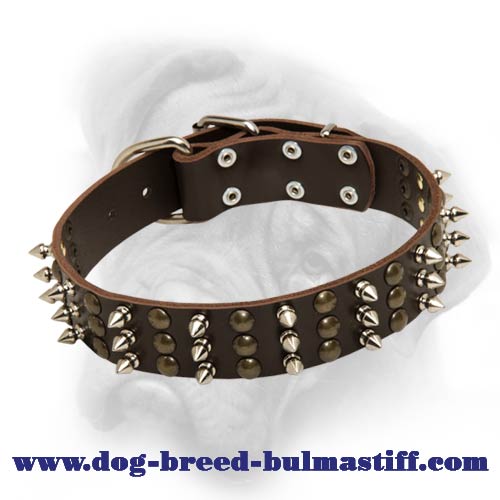 Bullmastiff leather dog collar with impressive columns of studs