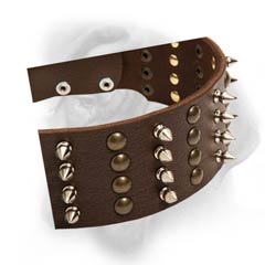 Bullmastiff  collar with cool decorations