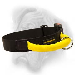 Bullmastiff nylon collar