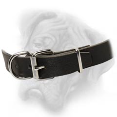 Bullmastiff  collar with D-ring