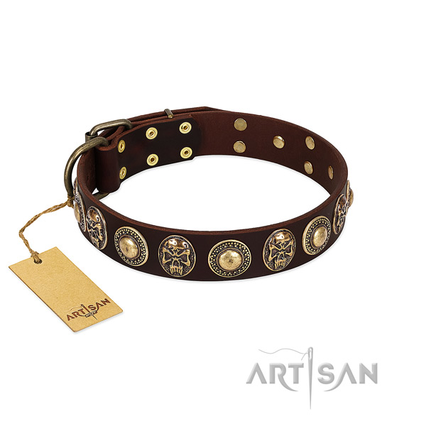 Significant genuine leather dog collar for daily use