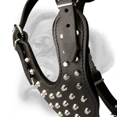 Leather dog harness with pyramids
