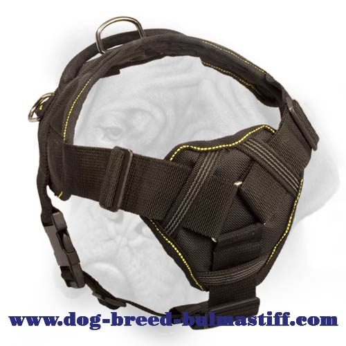 Chest Extension Strap for Alpine Dog Coats at Doggie Design