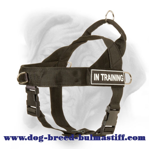 Extra Durable Bullmastiff Dog Harness with ID Patches for training