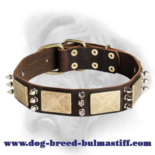 Get Luxury Dog CollarLeather Collars for Stylish Walk