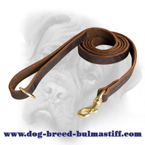 Bullmastiff leather dog collar with impressive columns of studs