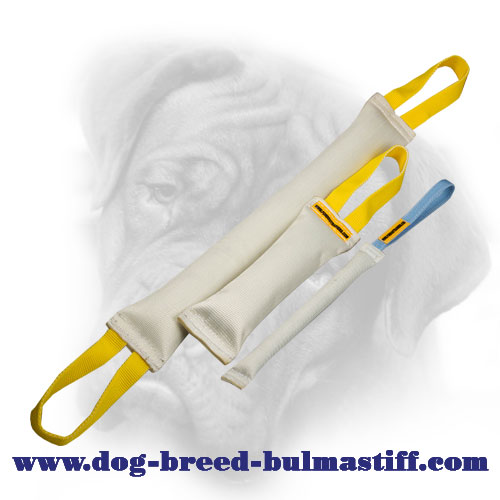 are bullmastiff hypoallergenic