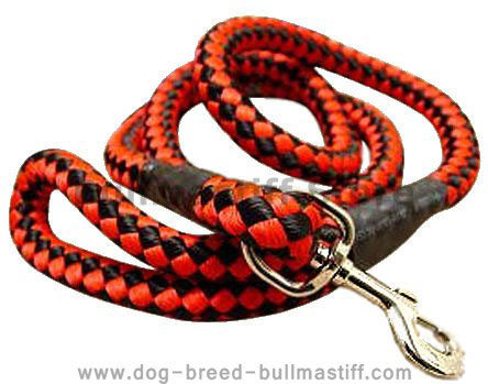 5 foot Round Nylon Leash With Brass Snap for Bullmastiff
