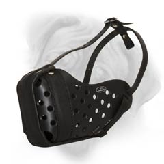 Buy this leather muzzle for your dog