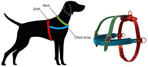 dog chest belt