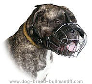 Super comfy Bullmastiff Wire Cage Dog Muzzle  Super comfy Bullmastiff Wire Cage Dog Muzzle